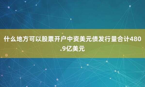 什么地方可以股票开户中资美元债发行量合计480.9亿美元