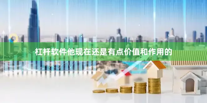 杠杆软件他现在还是有点价值和作用的