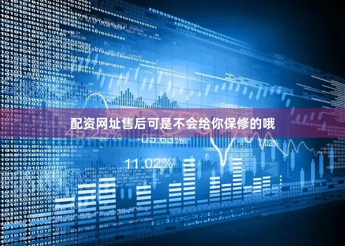 配资网址售后可是不会给你保修的哦